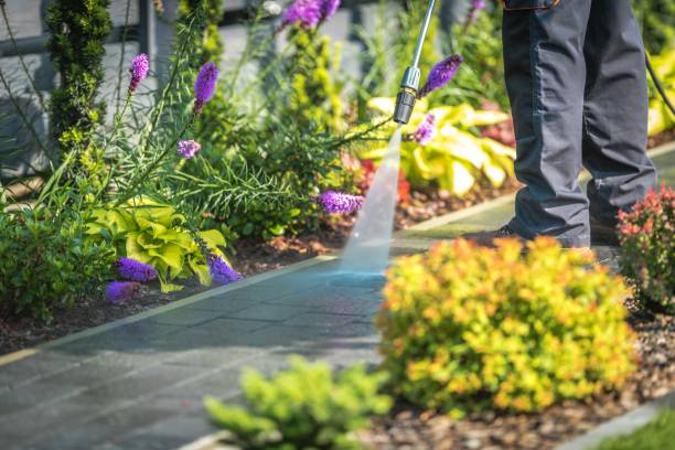 Best Winterizing Services  in Phenix City, AL