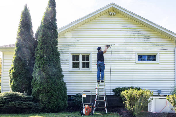 Best Fence Cleaning  in Phenix City, AL